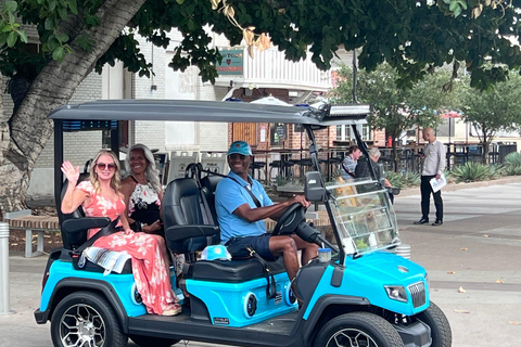 Private Old Town Scottsdale Experience (Cholla)