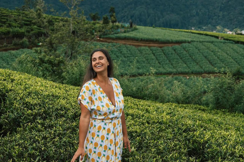 Kandy to Ella Private Transfer Via Nuwara Eliya City Tour