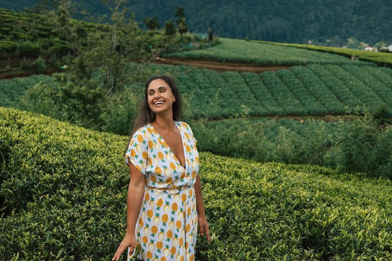 Kandy to Ella Private Transfer Via Nuwara Eliya City Tour
