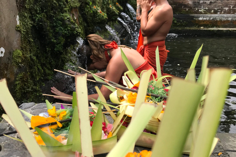 Ubud:Foresta delle scimmie, terrazze di riso, templi d&#039;acqua e cascate