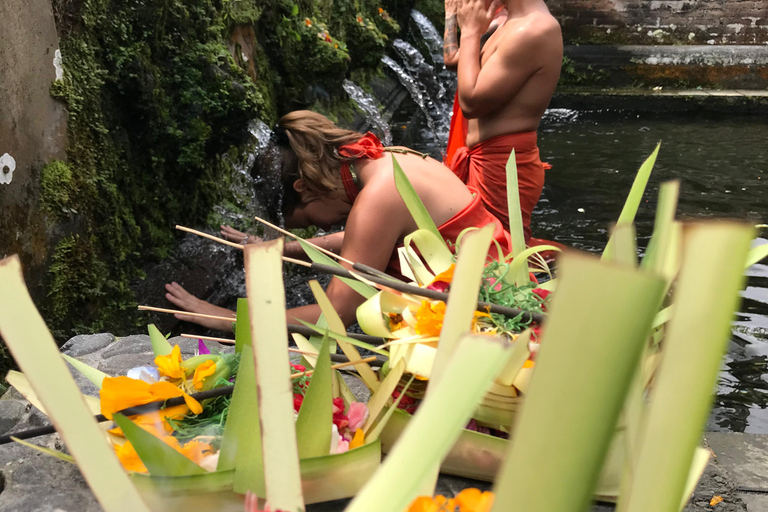Ubud:Foresta delle scimmie, terrazze di riso, templi d&#039;acqua e cascate