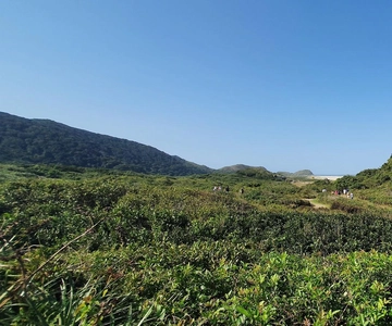 Fuga encantadora: Descobrindo o tesouro escondido da Ilha do Mel