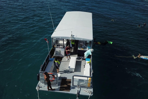 Honolulu: Group Snorkel Cruise with Marine Life Spotting
