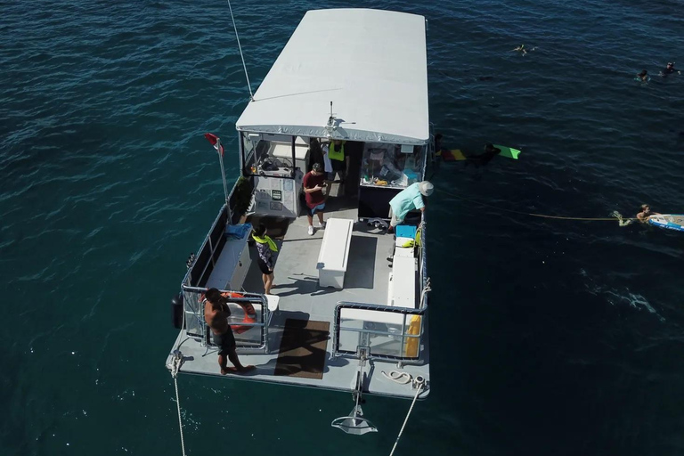 Honolulu: Group Snorkel Cruise with Marine Life Spotting