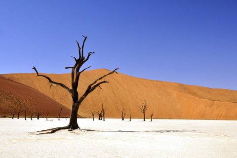 Smaak van Namibië Avonturentour