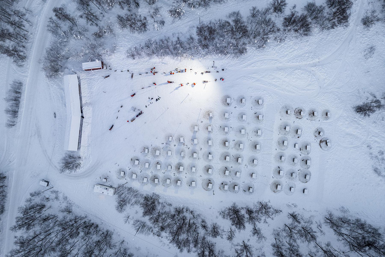 From Tromsø: Dog Sledding Adventure in Tamokdalen Dog Sledding Adventure in Tamokdalen: Midday Departure