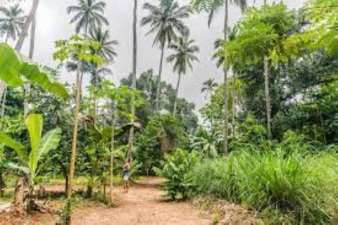 Zanzibar: Wycieczka piesza po Kamiennym Mieście + Wyspa Więzienna i przyprawy