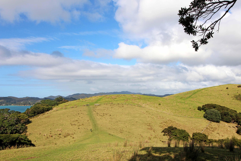 Bay of Islands: Urupukapuka Island Guided Walk Bay of Islands: Urupukapuka Island Guided Walk - Afternoon