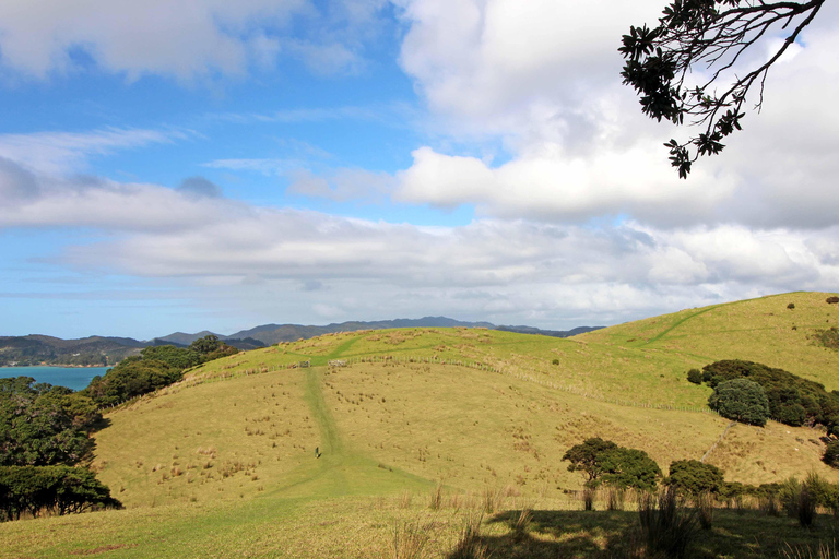 Bay of Islands: Urupukapuka Island Guided Walk Bay of Islands: Urupukapuka Island Guided Walk - Afternoon