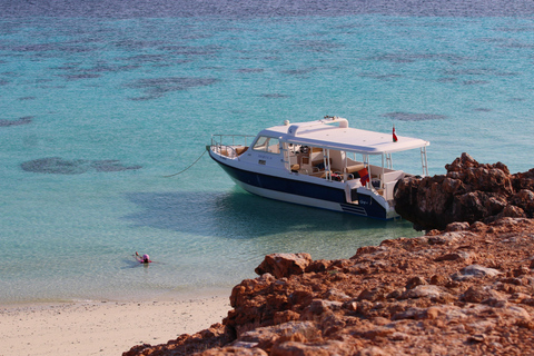 ISLA DE DIMANIYAT Descubre el paraíso del snorkel en MascateRecorrido compartido