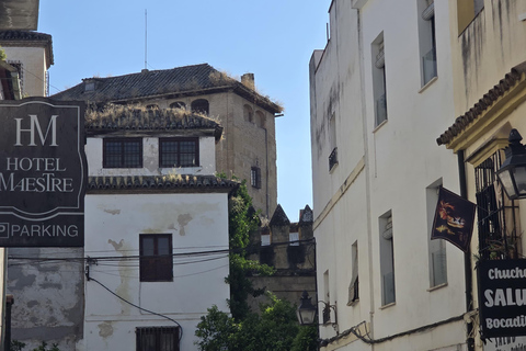Cordoue : visite de la mosquée-cathédrale, du pont romain et du quartier juif.Cordoue : visite guidée de la mosquée-cathédrale, du pont romain et du quartier juif.