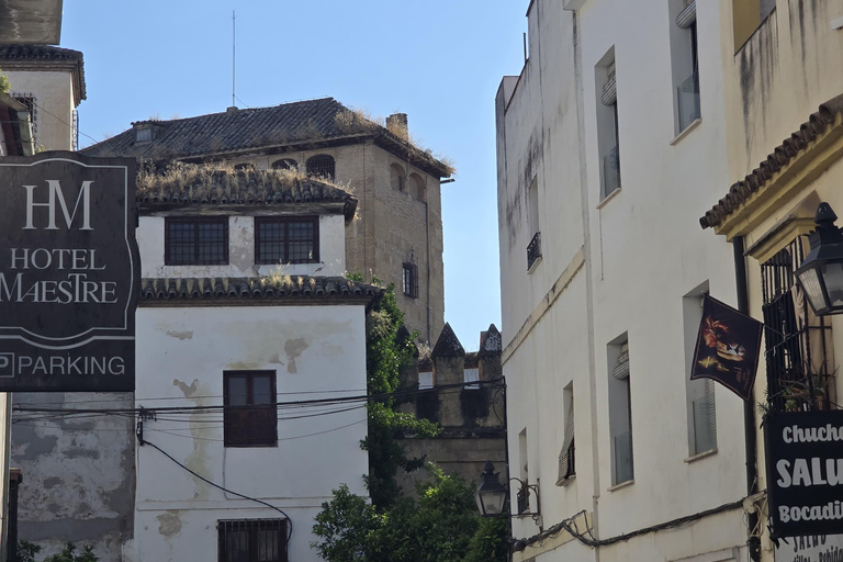 Cordoue : visite de la mosquée-cathédrale, du pont romain et du quartier juif.Cordoue : visite guidée de la mosquée-cathédrale, du pont romain et du quartier juif.