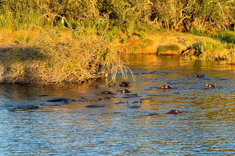 Victoria Falls: Sunset Cruise on the Zambezi River