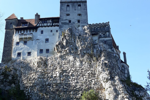 Leggende e animali selvatici ti aspettano: Il Castello di Dracula e il Santuario degli OrsiDa Bucarest: tour di un giorno al castello di Dracula e al santuario degli orsi