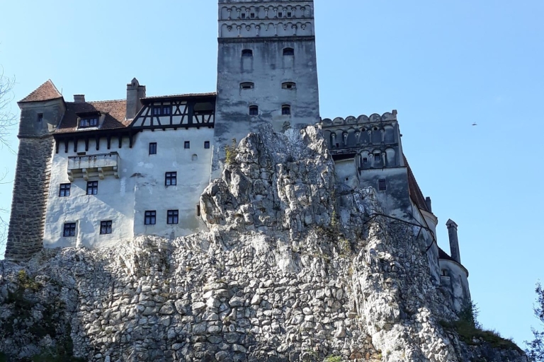 Desde Bucarest: Excursión de un día al Castillo de Drácula y al Santuario de los Osos