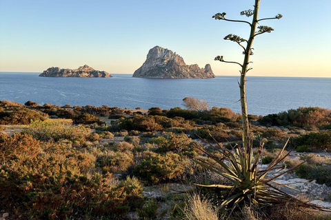 Ibiza Southwest Highlights by Land Rover Defender