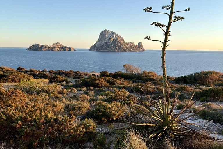 Ibiza Southwest Highlights by Land Rover Defender