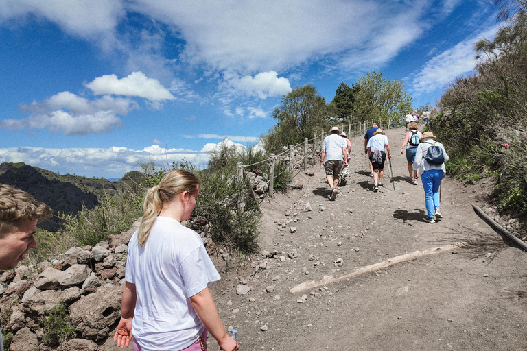 Pompeii Ruins & Vesuvius Full-Day Tour from Naples Pompeii Ruins & Vesuvius Full-Day Tour from Naples