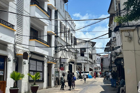 Zanzibar: Passeio a pé privado pela Cidade de PedraPasseio privado com transporte do hotel para qualquer lugar em Zanzibar.