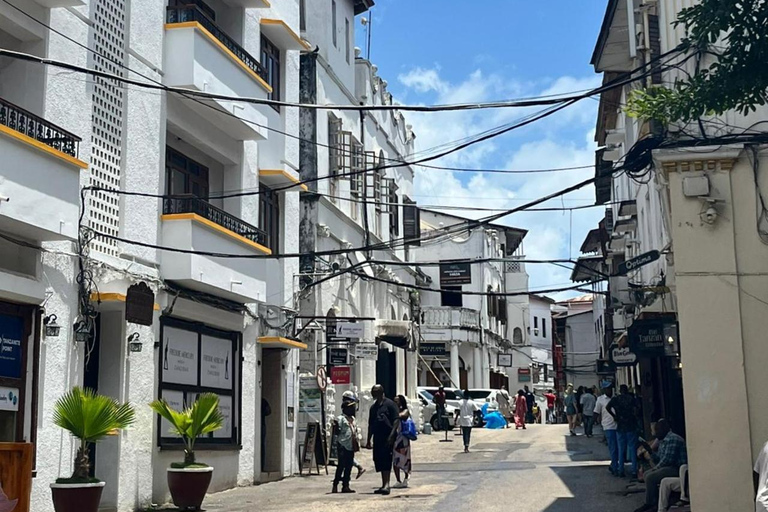 Zanzibar: Passeio a pé privado pela Cidade de PedraPasseio privado com transporte do hotel para qualquer lugar em Zanzibar.