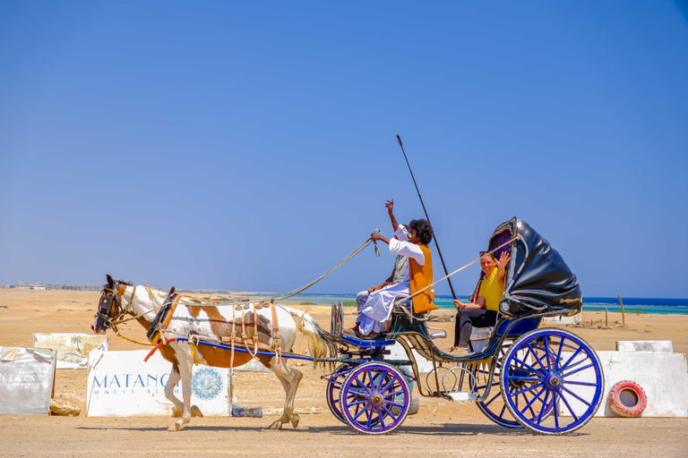 Marsa Alam: Stargazing on the Beach with 4-Ride Safari