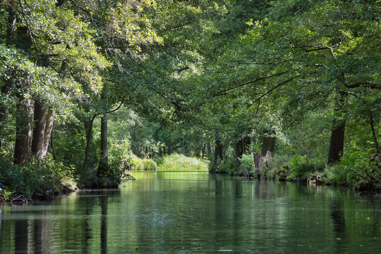 Berlin: Spreewald Kayak Day Trip with Train Ride