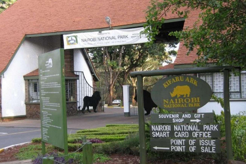 Nairobi: Nairobi National park Game drive &amp; Giraffe centre.