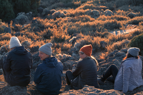8-daagse Lemosho-route – Beklim de Kilimanjaro op nieuwjaarsdag 20268-daagse Lemosho-route – Kilimanjaro beklimmen op oudejaarsavond 2026