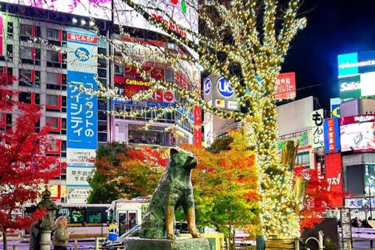 Tokyo: 2-Day Guided Tour with Kamakura & Hotel Pickup