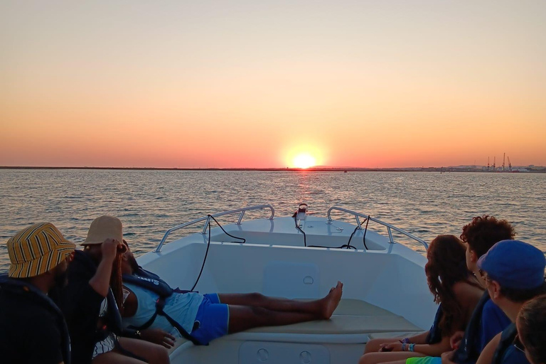 Faro: Ria Formosa Faro Islands Boat Tour