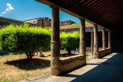Au départ de Rome : Pompéi avec un archéologue + déjeuner à SorrenteVisite guidée de Pompéi avec déjeuner pizza à Sorrente