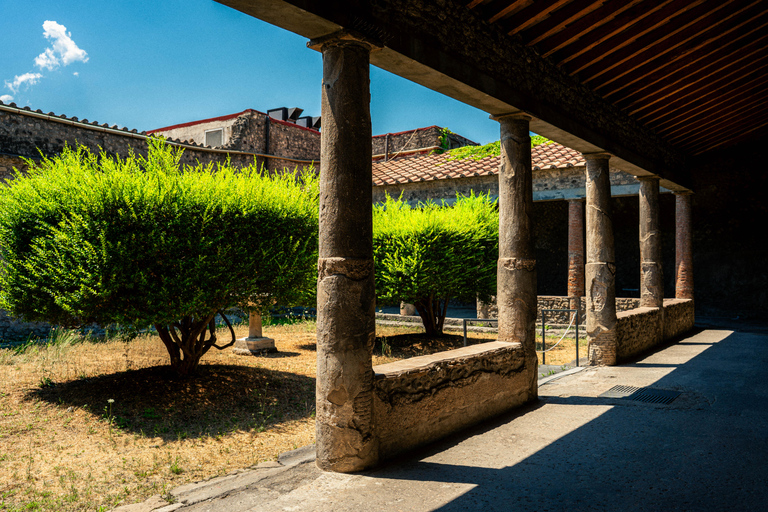 Au départ de Rome : Pompéi avec un archéologue + déjeuner à SorrenteVisite guidée de Pompéi avec déjeuner pizza à Sorrente