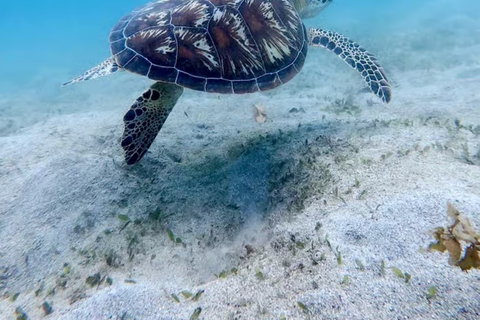 Coron to El Nido: 3-Day 2-Night Island-Hopping Expedition