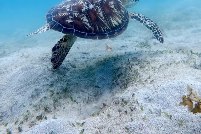 Coron to El Nido: 3-Day 2-Night Island-Hopping Expedition