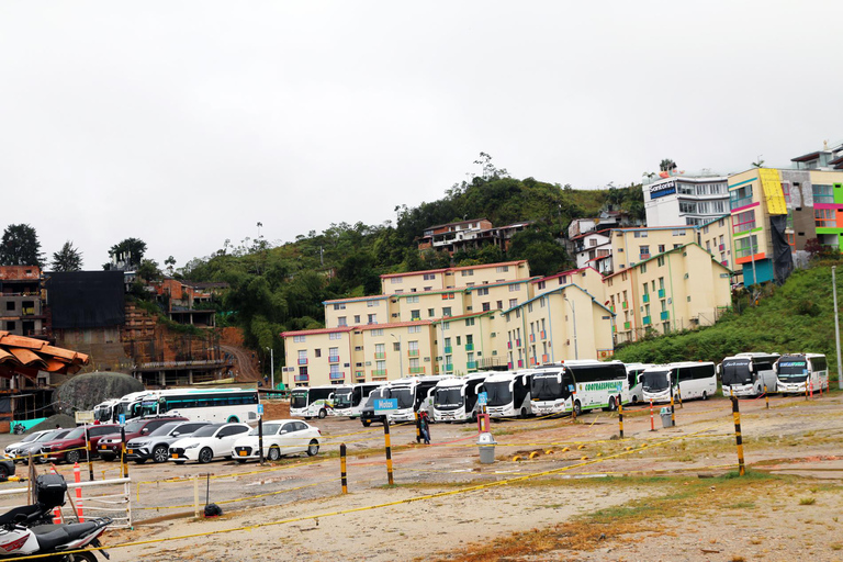 Tour privato di mezza giornata alla Pietra di Peñol da Medellin