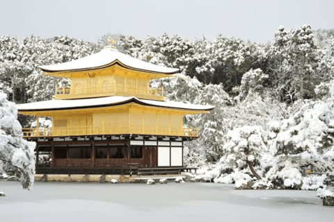 Von Osaka aus: Kyoto Ganztagestour Private Tour nach MaßToyota Alphard 0-5