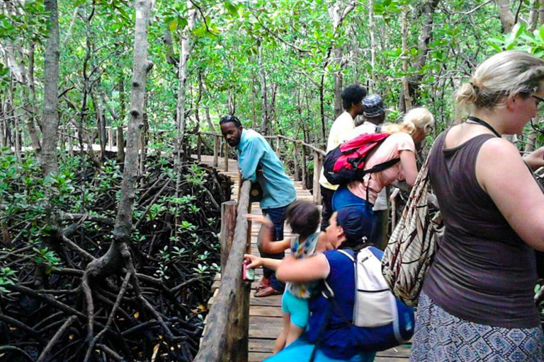 Zanzibar: Wycieczka do lasu Jozani i jaskini SalaamTa wybrana opcja obejmuje odbiór z hotelu i dowóz z hotelu.