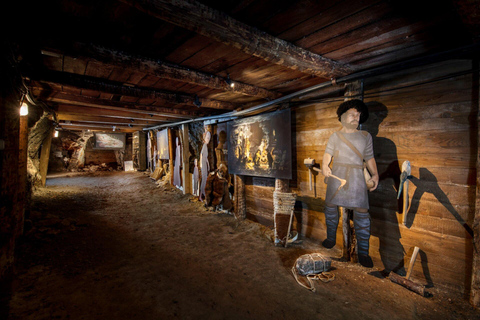 From Linz: Hallstatt Salt Mine & Skywalk Private Tour