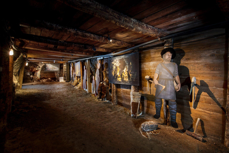 From Linz: Hallstatt Salt Mine & Skywalk Private Tour