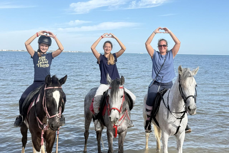 Hurghada: Horse Riding in the Desert & Beach Experience 1 HR Desert Horse Riding Experience without transfer