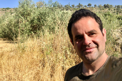 Nazareth and Cana: Discover the Galilee and Israel's North