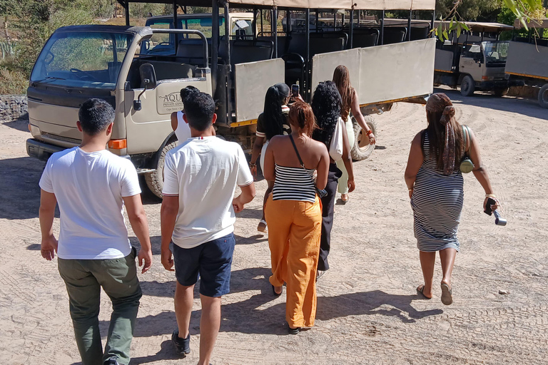 Cape Town: Aquila Game Reserve Safari with Buffet & Pickup