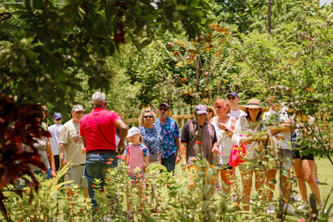 Punta Cana safari experience and historical city tour Half-day city tour and safari