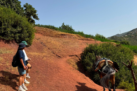 Chefchaouen: Akchour Waterfalls & Bridge of God Day Trip Shared / Small Group Excursion