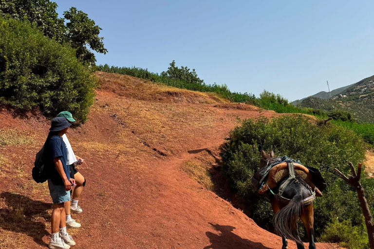 Chefchaouen: Akchour Waterfalls & Bridge of God Day Trip Shared / Small Group Excursion