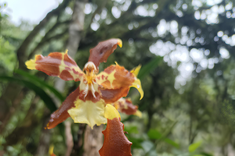 Bogotá: Tropicarium and Botanical Garden Entry Ticket