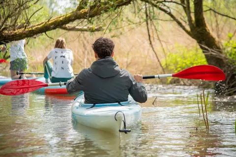Biesbosch: Kajakverhuur met routekaart en zwemvest