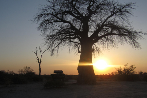 7 Días - Savuti - Khwai - Moremi (Safari móvil)