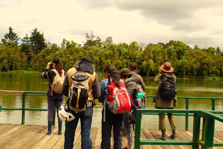 Birdwatching in Bogotá wetlands with Bakata Pajarera