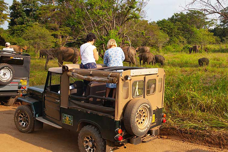 Pasikuda: Polonnaruwa Ruins & Hurulu Eco Park Safari Without Ticket